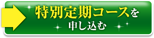 特別定期コースを申し込む