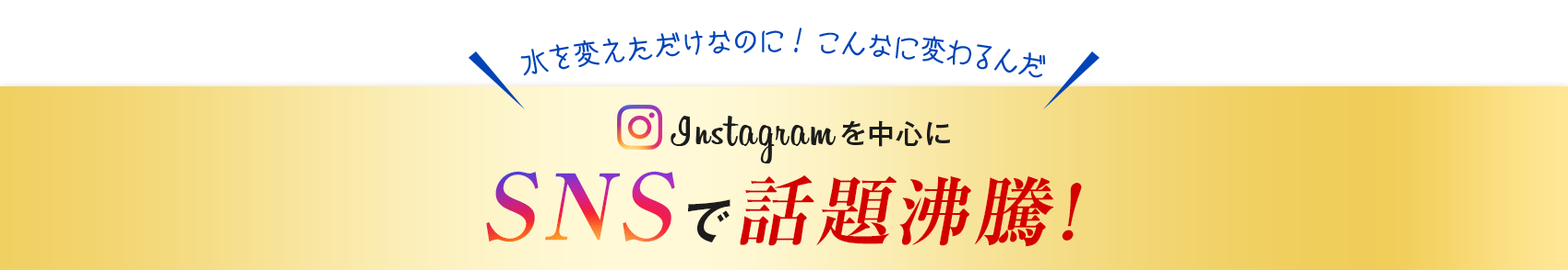 水を変えただけなのに! こんなに変わるんだ