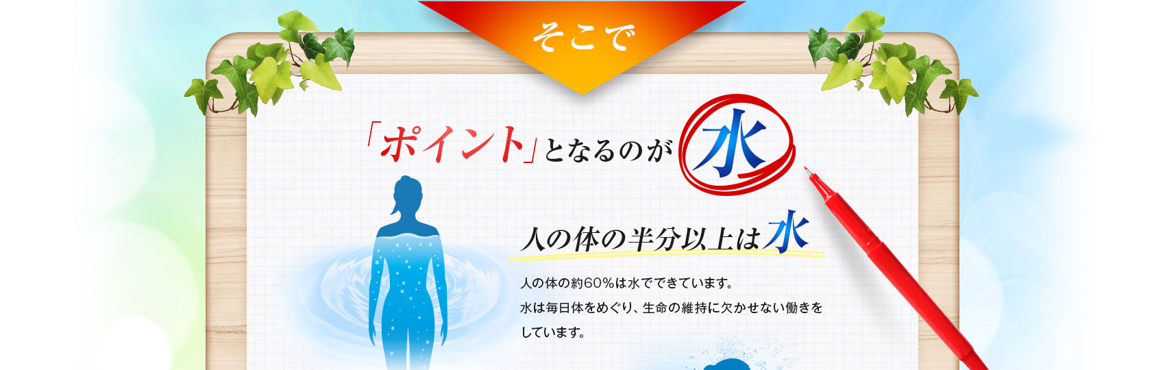 「ポイント」となるのが水