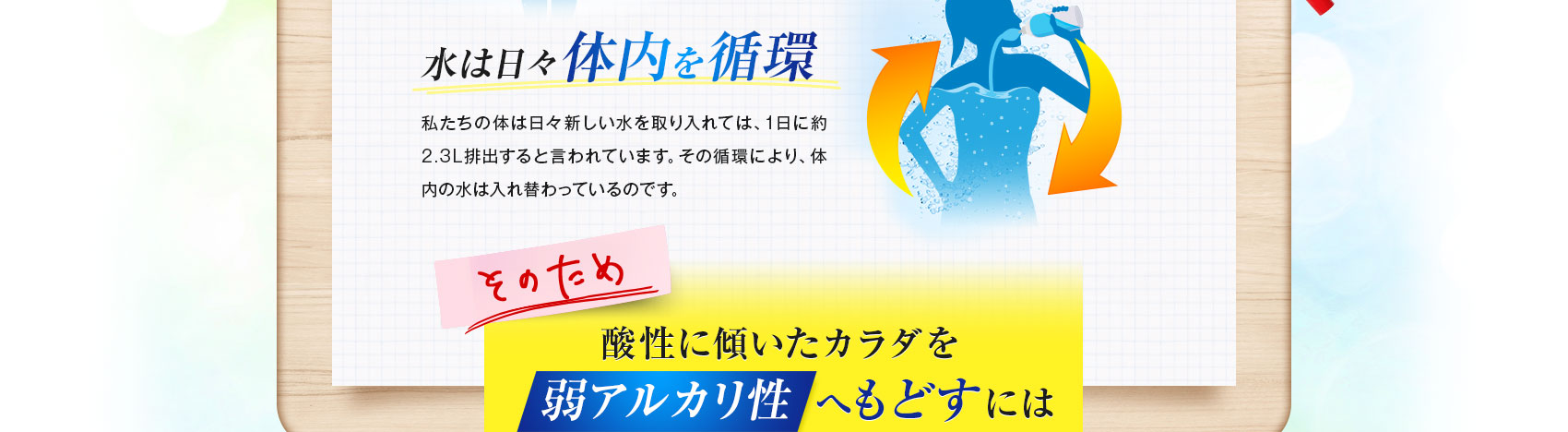水は日々体内を循環