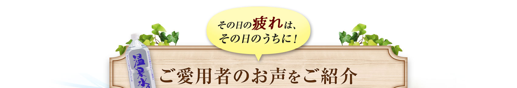 ご愛用者のお声をご紹介