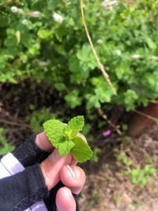 227853914_384992209716302_8864507540185296147_n