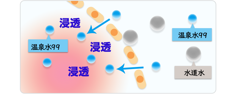 細胞にも浸透！