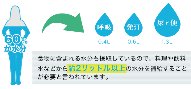 毎日２リットル以上の水分を補給することが必要と言われてます