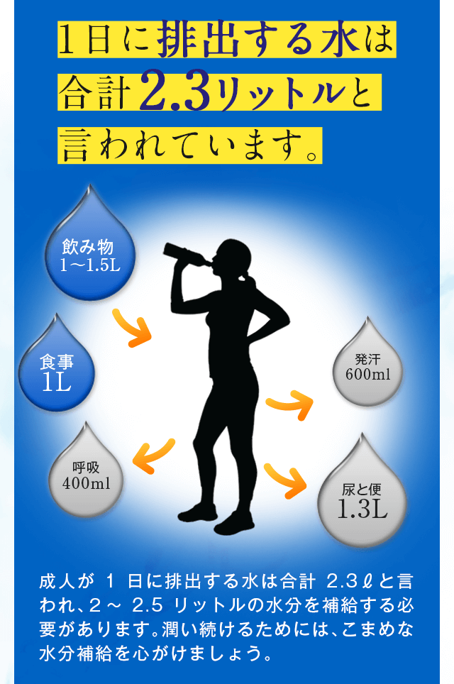 一日に排出する水は合計2.3リットルと言われています